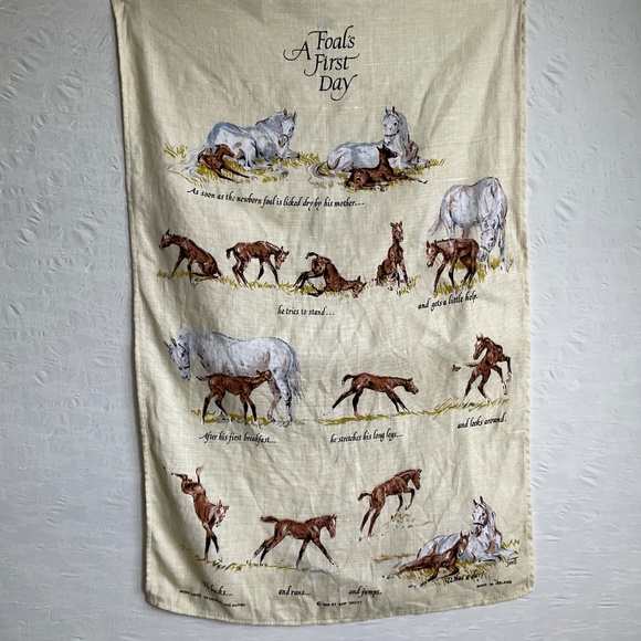 Ulster Weavers Linen Tea Towel A Foal’s First Day Sam Savitt 100% Irish Linen - Picture 2 of 16